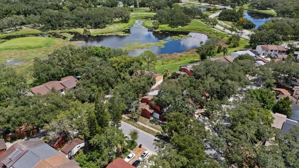 803 FAIRWOOD LANE Clearwater, FL 33759