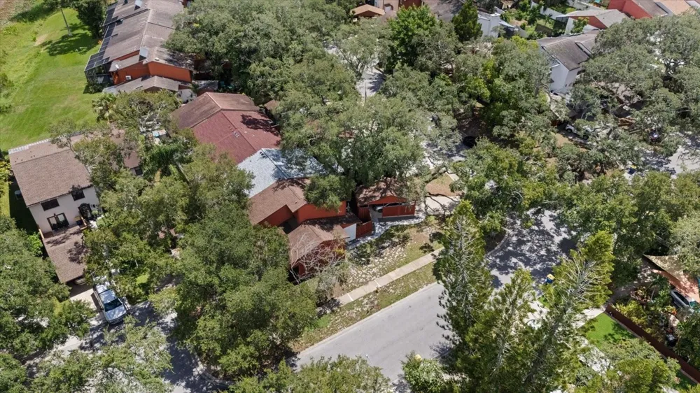 803 FAIRWOOD LANE Clearwater, FL 33759