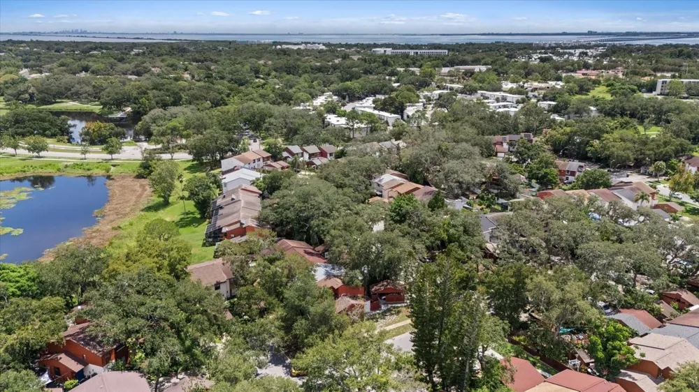 803 FAIRWOOD LANE Clearwater, FL 33759