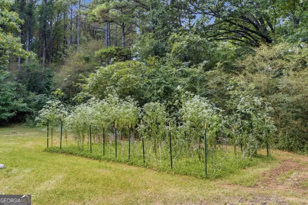 16 Hames PT Adairsville, GA 30103