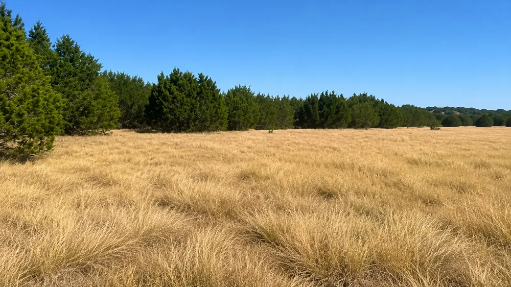 County Road 2659 Lometa, TX 76853