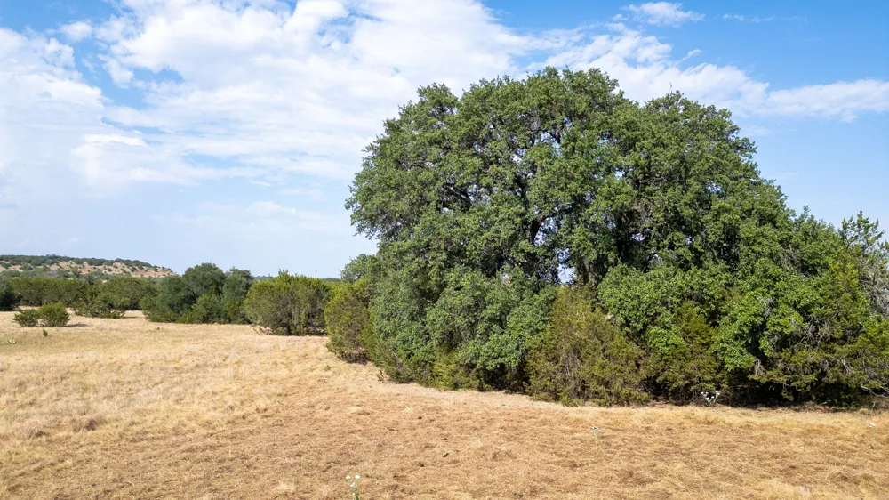 County Road 2659 Lometa, TX 76853
