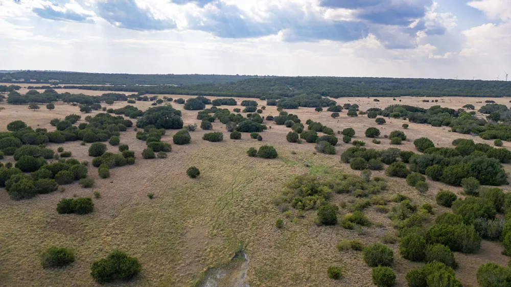 County Road 2659 Lometa, TX 76853