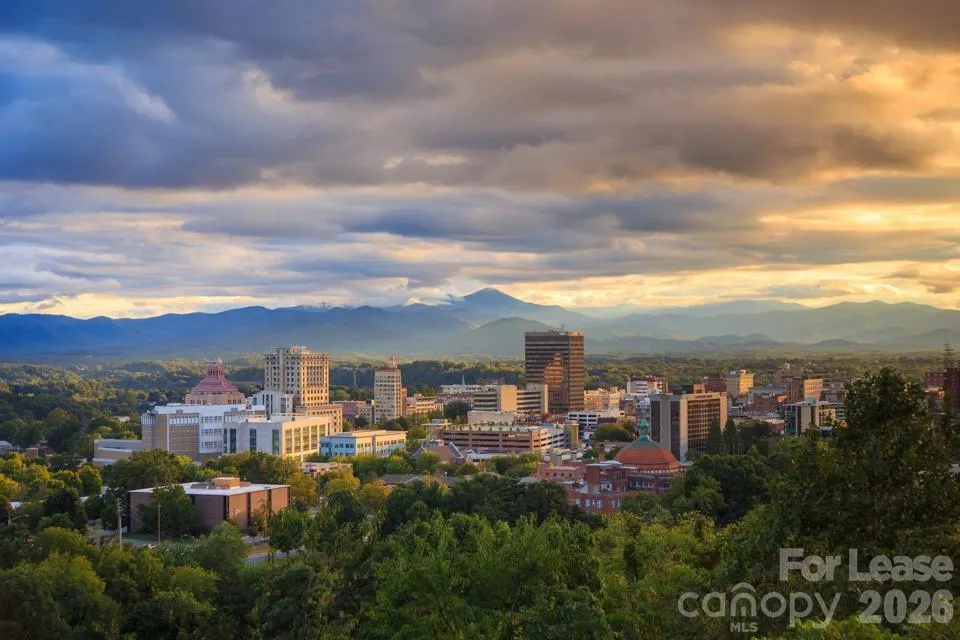 181 Flint Street Asheville, NC 28801