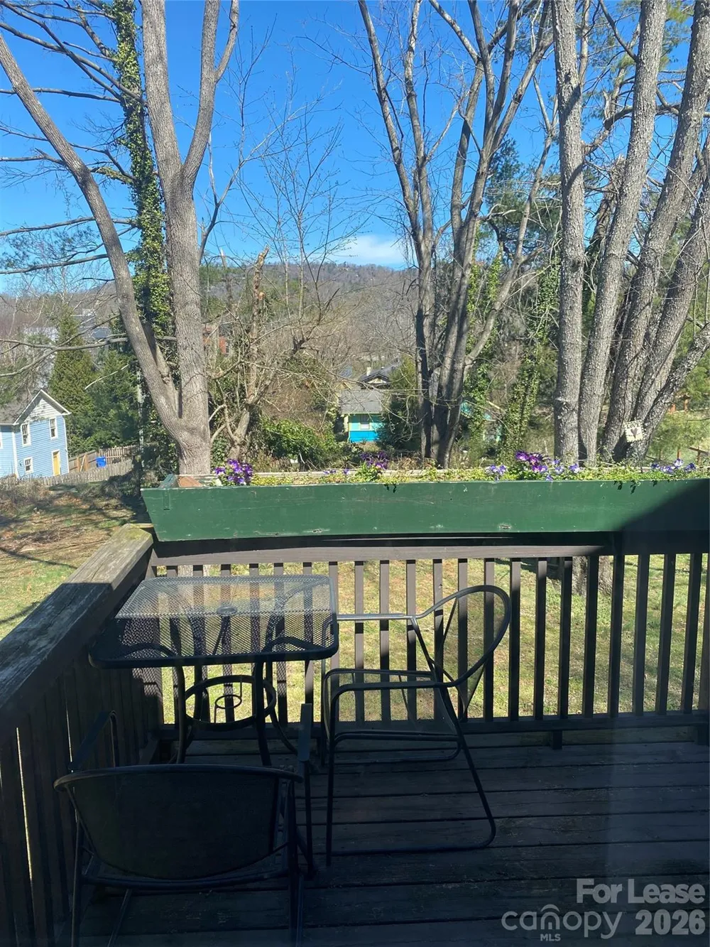 181 Flint Street Asheville, NC 28801