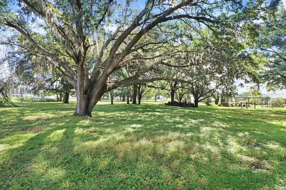 11634 DAVIS POOL ROAD Seffner, FL 33584