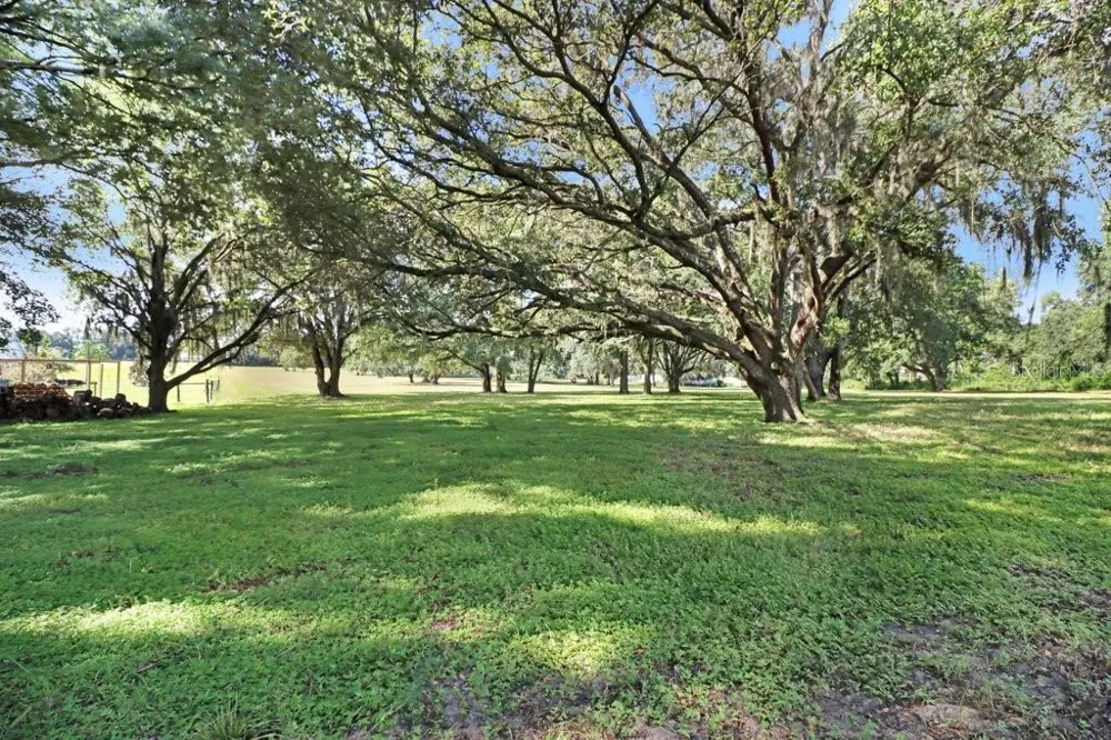 11634 DAVIS POOL ROAD Seffner, FL 33584