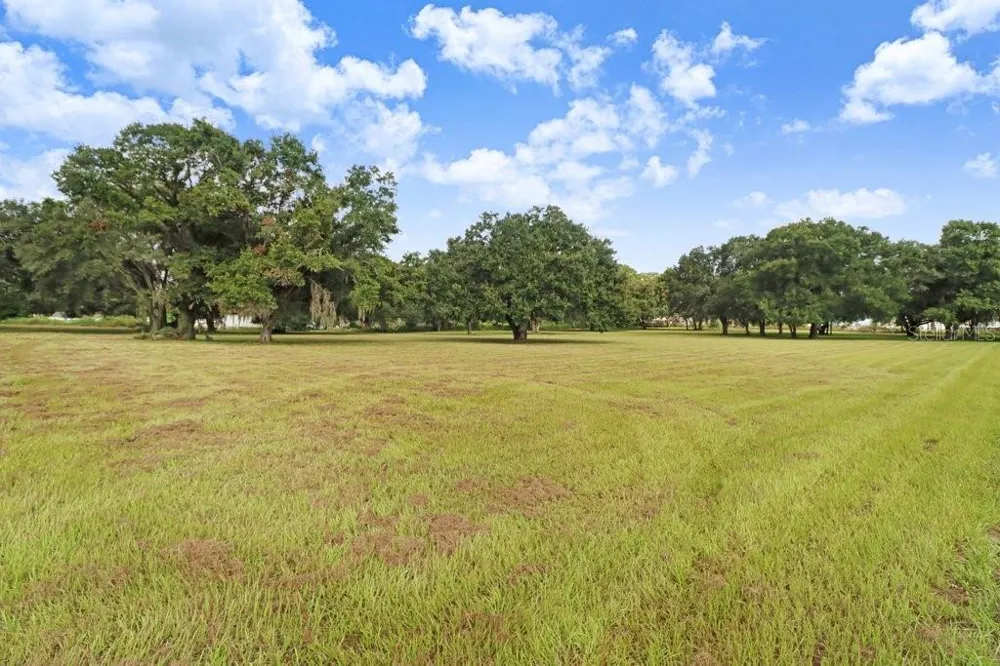 11634 DAVIS POOL ROAD Seffner, FL 33584