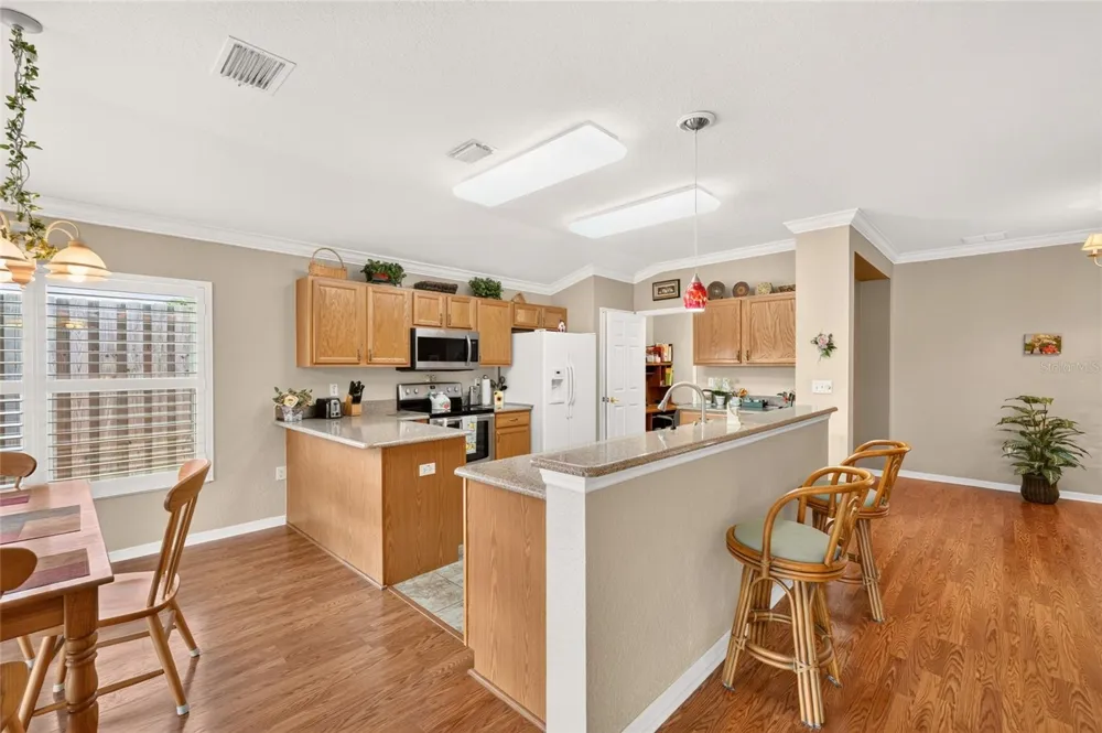 13996 SE 94TH AVENUE Summerfield, FL 34491