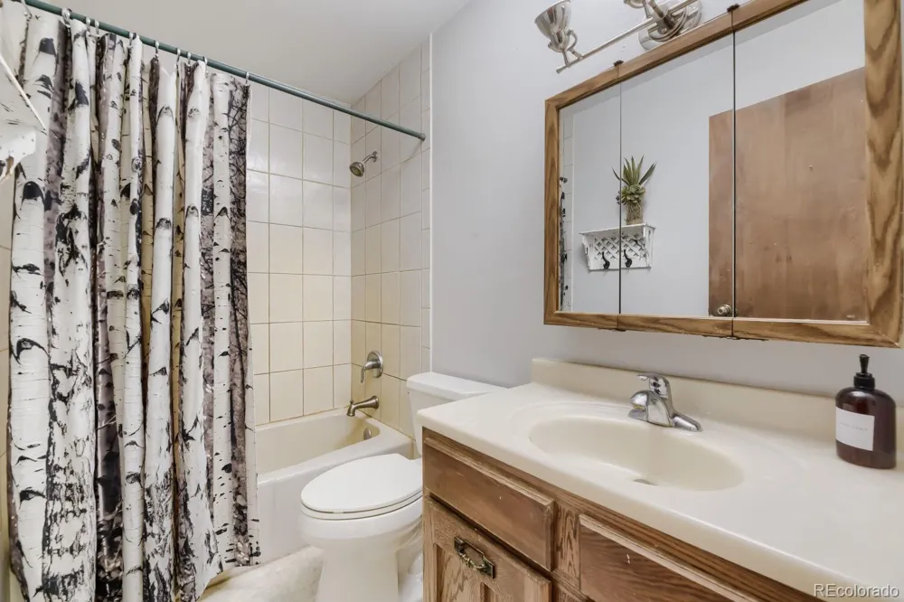 2008 Virginia Canyon Road Idaho Springs, CO 80452