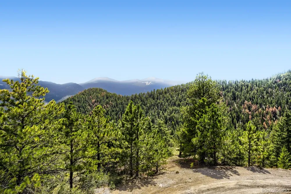 2008 Virginia Canyon Road Idaho Springs, CO 80452