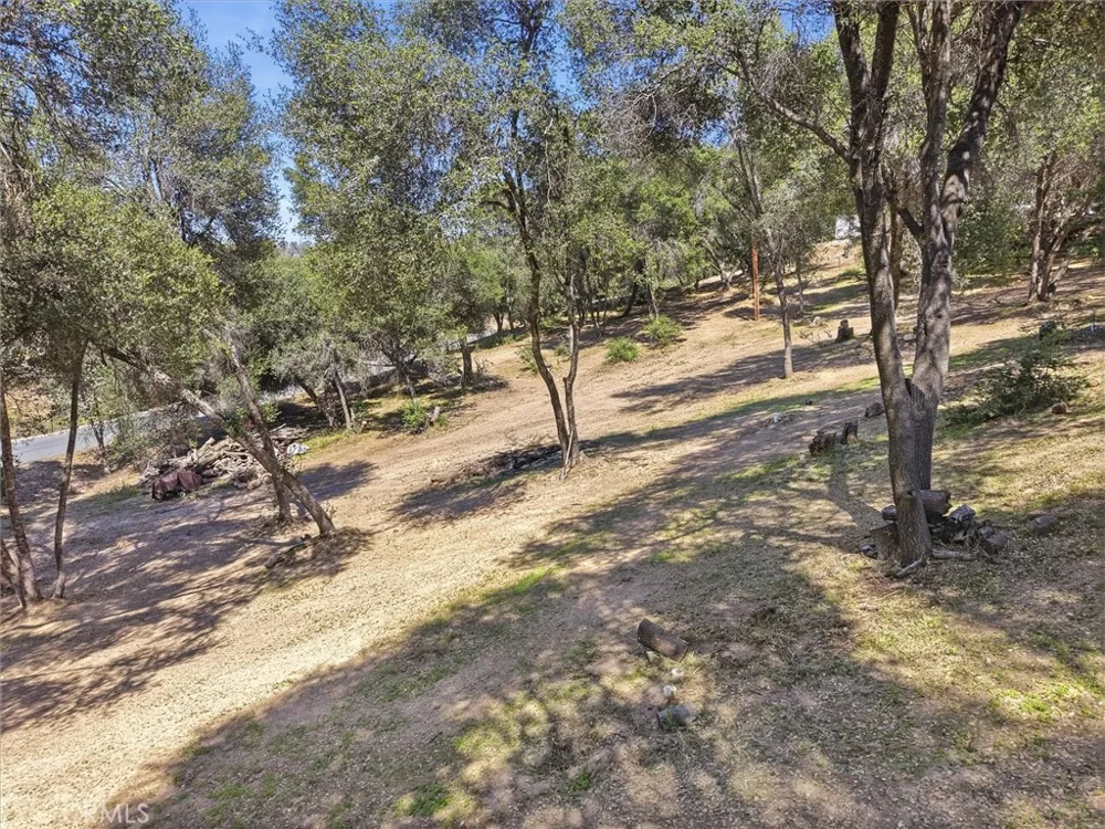 46004 Spring Trail Coarsegold, CA 93614
