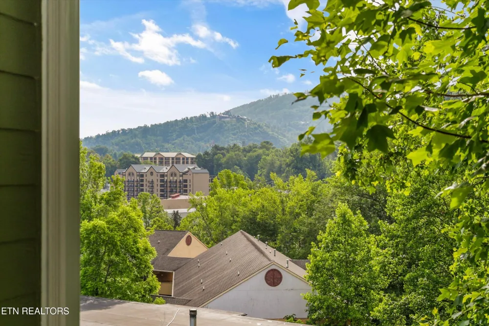 329 Ownby St #1406 Gatlinburg, TN 37738