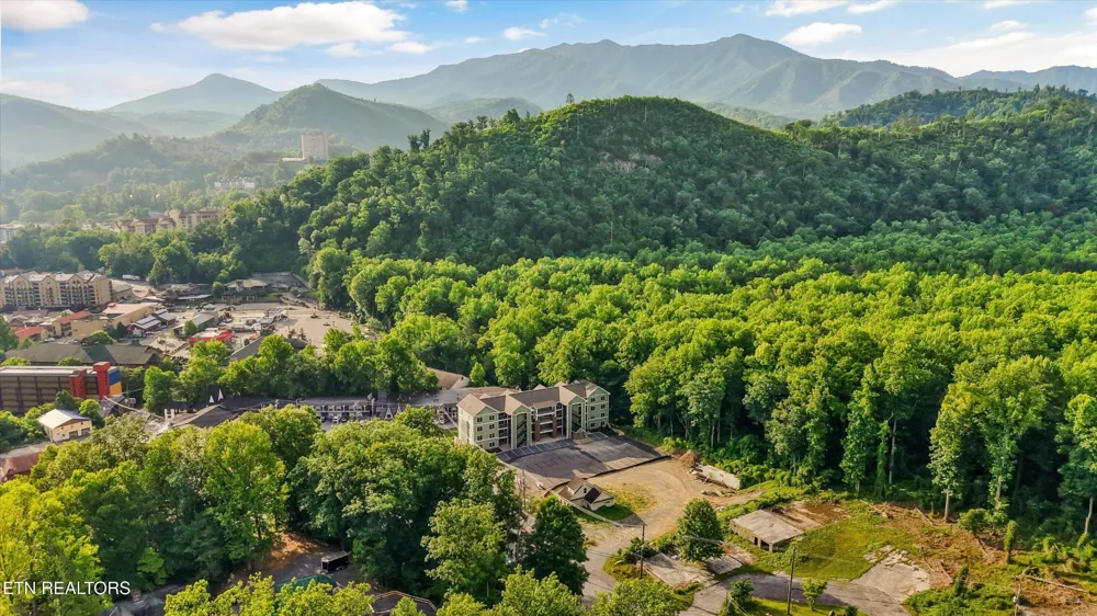 329 Ownby St #1406 Gatlinburg, TN 37738