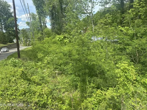 519 Cherokee Orchard Rd