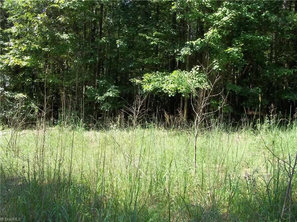 0 Clyde King Road Seagrove, NC 27341
