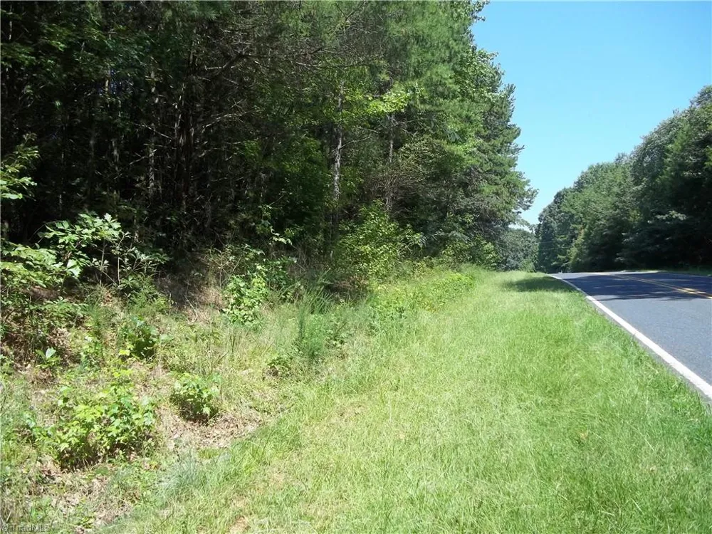 0 Clyde King Road Seagrove, NC 27341