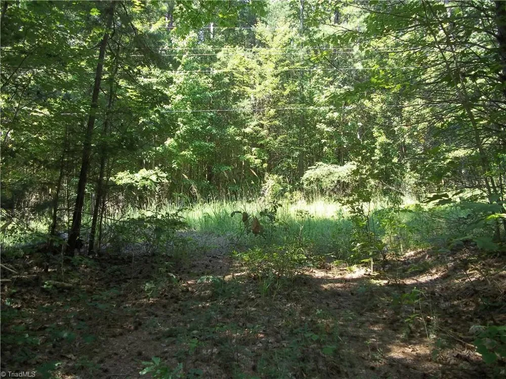 0 Clyde King Road Seagrove, NC 27341