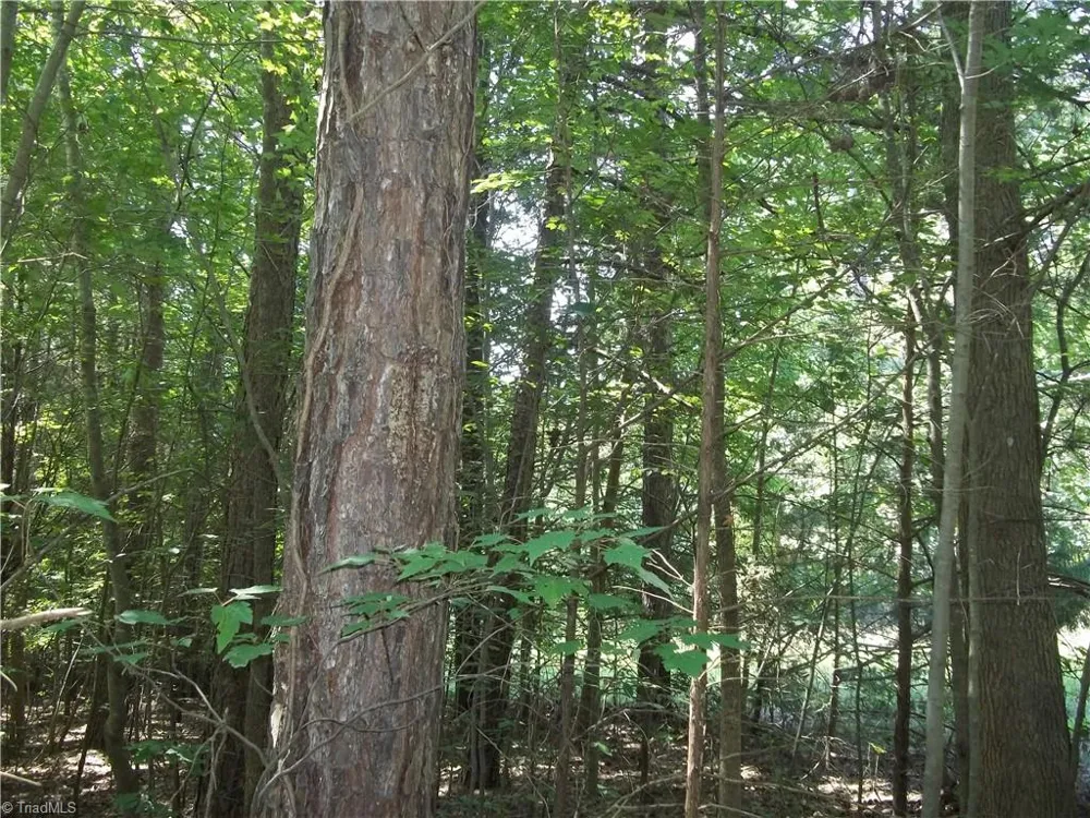 0 Clyde King Road Seagrove, NC 27341