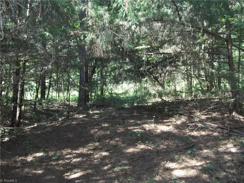 0 Clyde King Road Seagrove, NC 27341