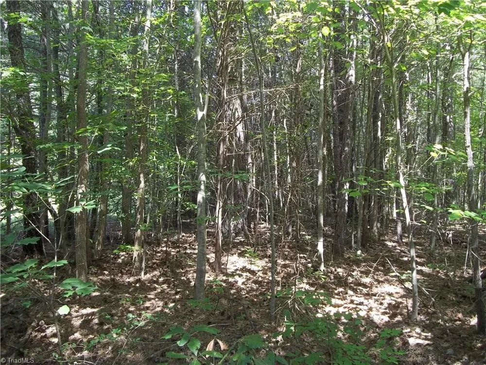 0 Clyde King Road Seagrove, NC 27341