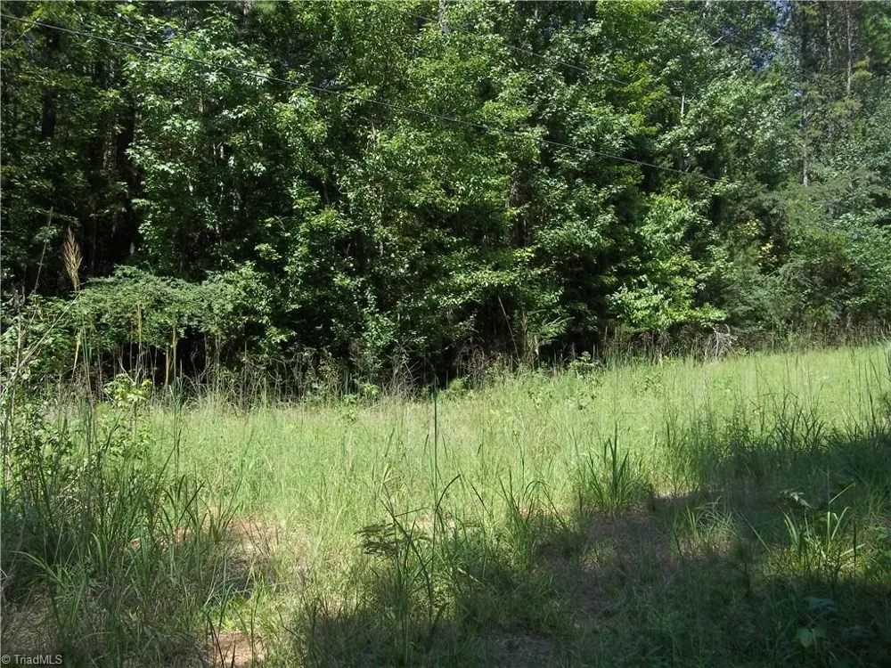 0 Clyde King Road Seagrove, NC 27341