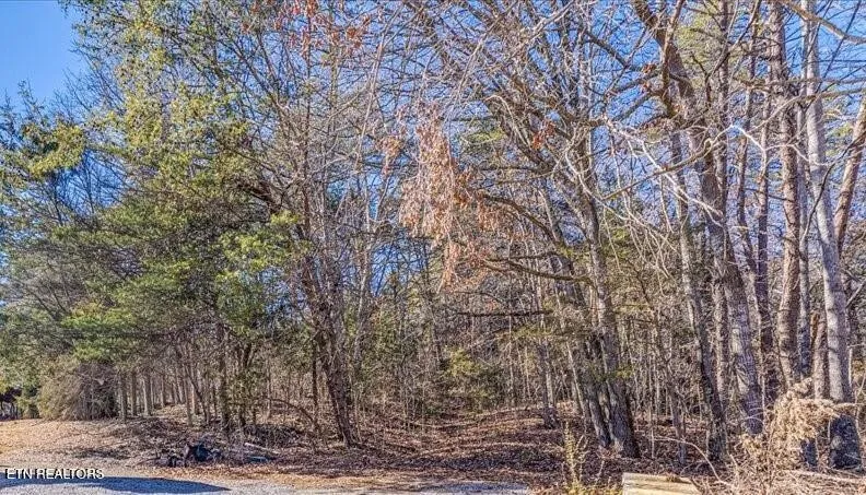 736 Panther Creek Rd Off Rd Sevierville, TN 37876