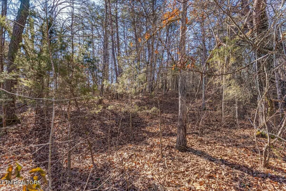 736 Panther Creek Rd Off Rd Sevierville, TN 37876