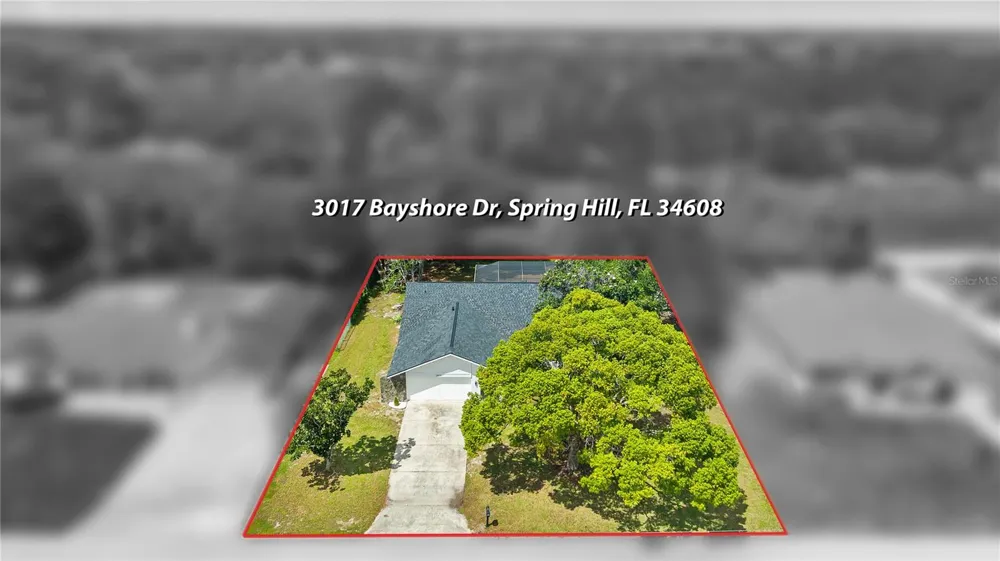3017 BAYSHORE DRIVE Spring Hill, FL 34608