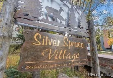 4885 Silver Spruce Lane Evergreen, CO 80439