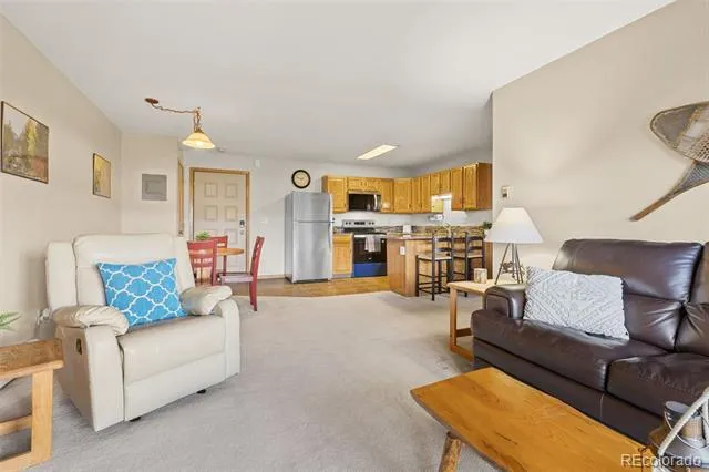 89410 Ryan Gulch Road #DD-301 Silverthorne, CO 80498