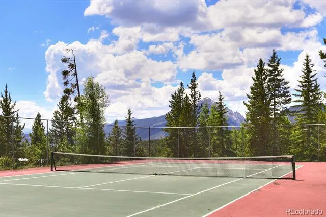 89410 Ryan Gulch Road #DD-301 Silverthorne, CO 80498