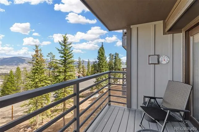 89410 Ryan Gulch Road #DD-301 Silverthorne, CO 80498