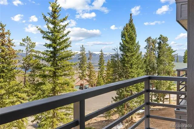 89410 Ryan Gulch Road #DD-301 Silverthorne, CO 80498
