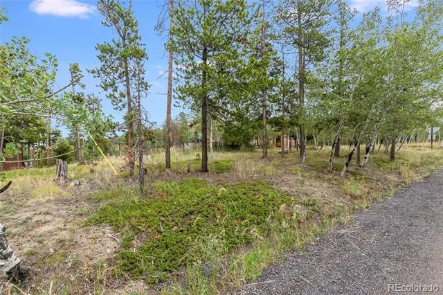 10444 Crystal Drive Morrison, CO 80465