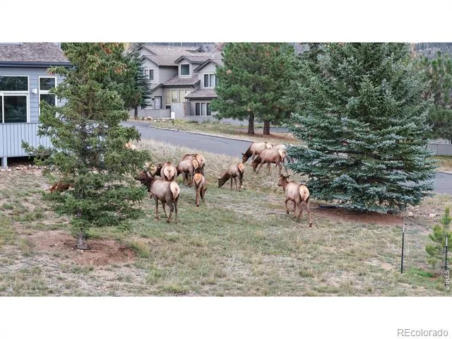 1555 Raven Circle Estes Park, CO 80517