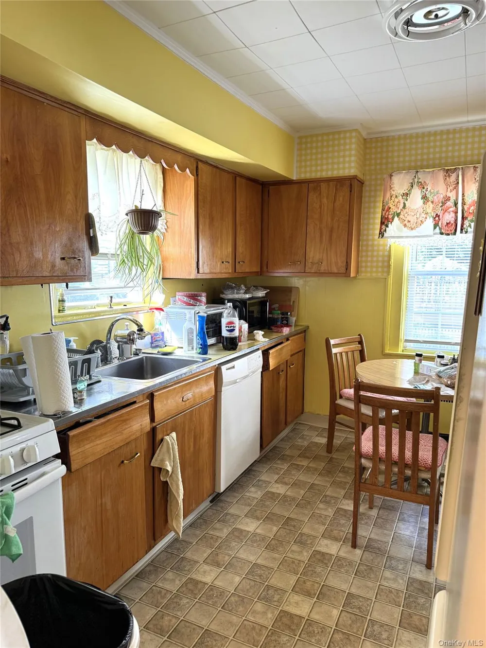 20 Elaine Terrace Yonkers, NY 10701