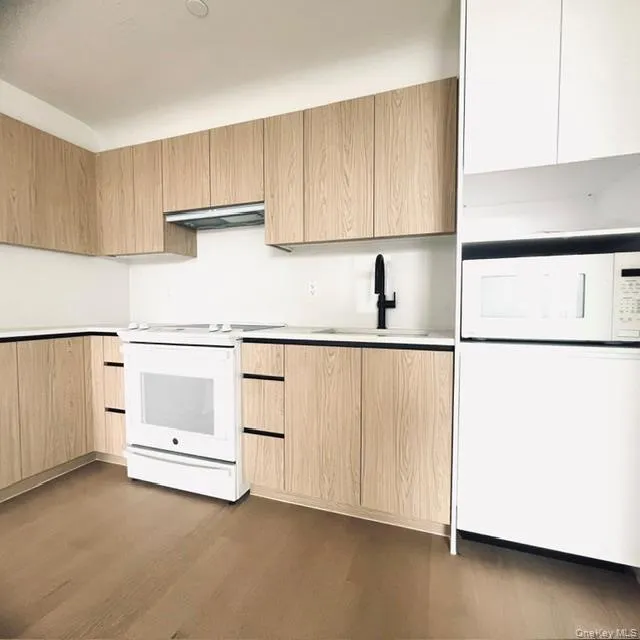 1807 66th Street #3E Brooklyn, NY 11204