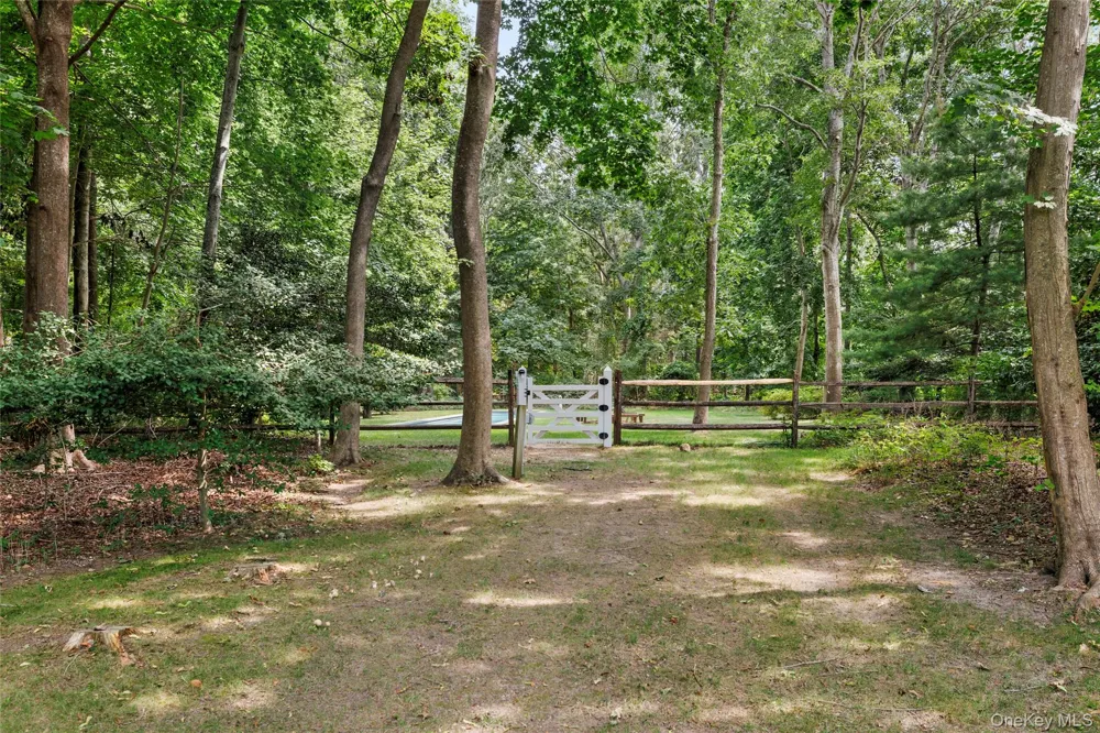 12 School Street Springs, NY 11937