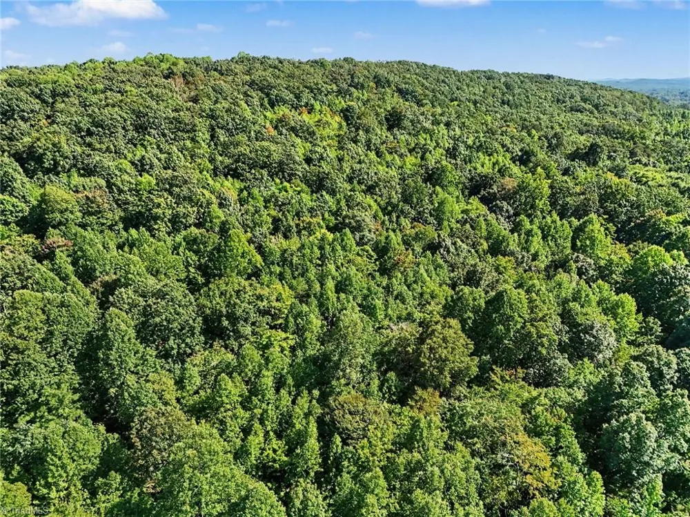 3883 Millikan Farm Road Franklinville, NC 27248