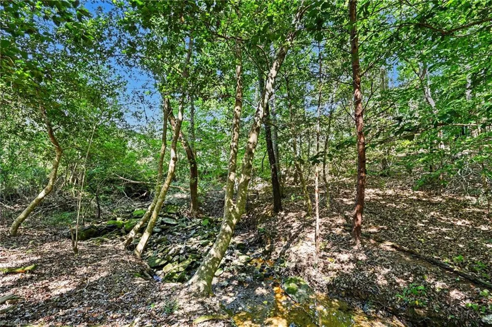3883 Millikan Farm Road Franklinville, NC 27248