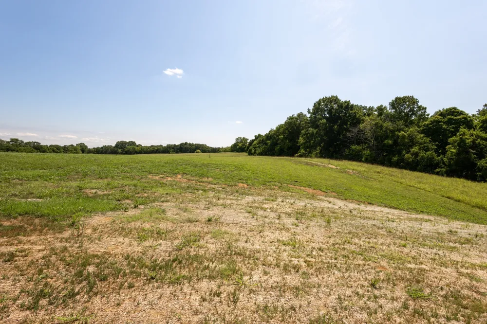 2468 Horn Springs Lebanon, TN 37087