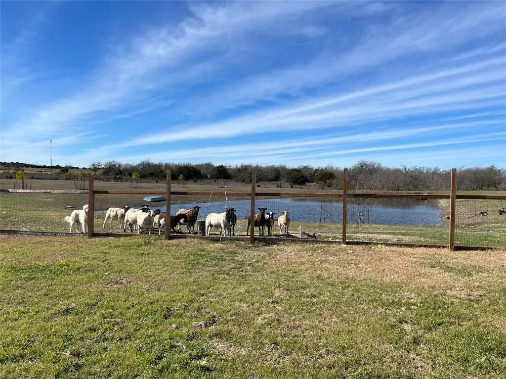 1300 County Road 217 Florence, TX 76527
