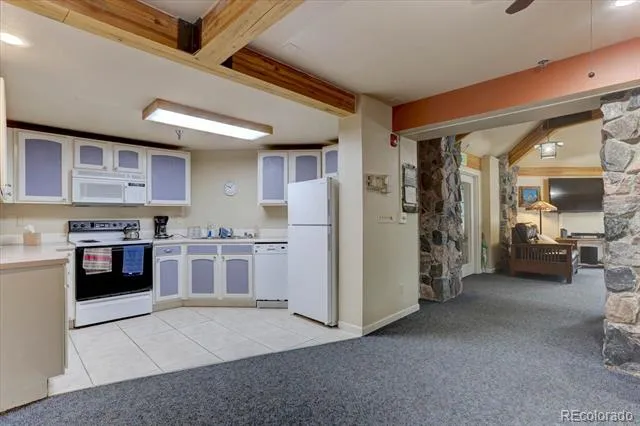 31819 Rocky Village Drive #210 Evergreen, CO 80439