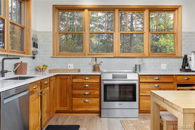 25 Shoshoni Way Nederland, CO 80466