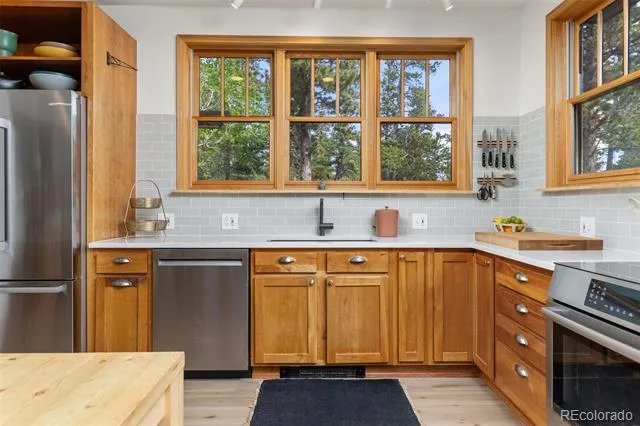 25 Shoshoni Way Nederland, CO 80466