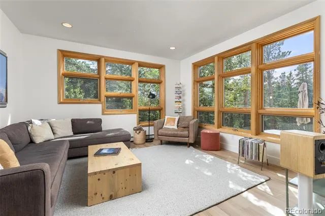 25 Shoshoni Way Nederland, CO 80466