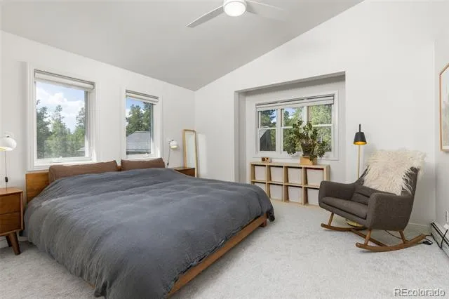 25 Shoshoni Way Nederland, CO 80466