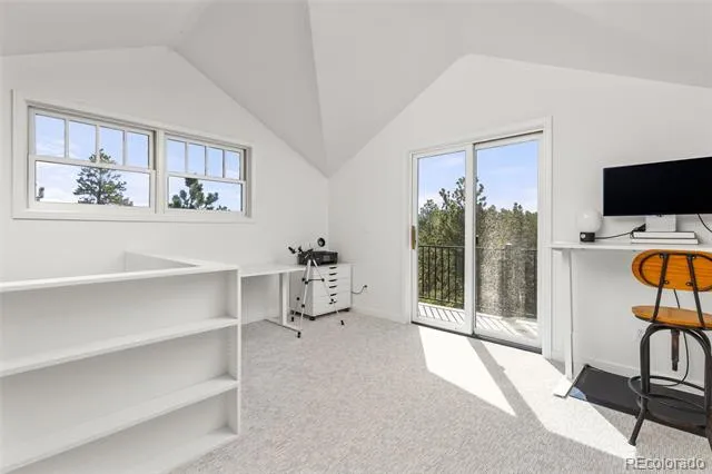 25 Shoshoni Way Nederland, CO 80466