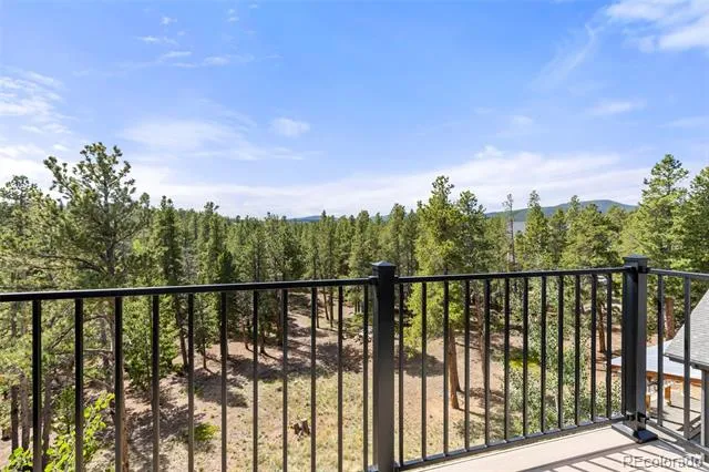 25 Shoshoni Way Nederland, CO 80466